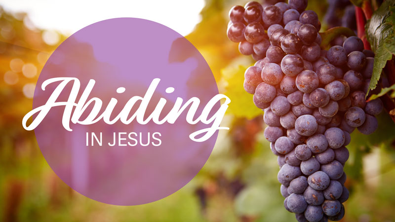 Abiding in Jesus – Women’s Bible Study – One Love Ministries